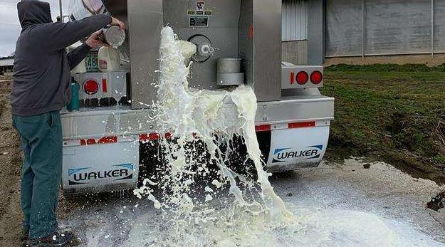 dnf倒牛奶后续,dnf黑商倒牛奶