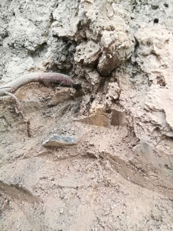 伊川白沙陈村红山文化