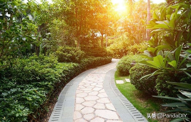 为什么网吧网络比家里好？专线和家庭宽带有什么区别?