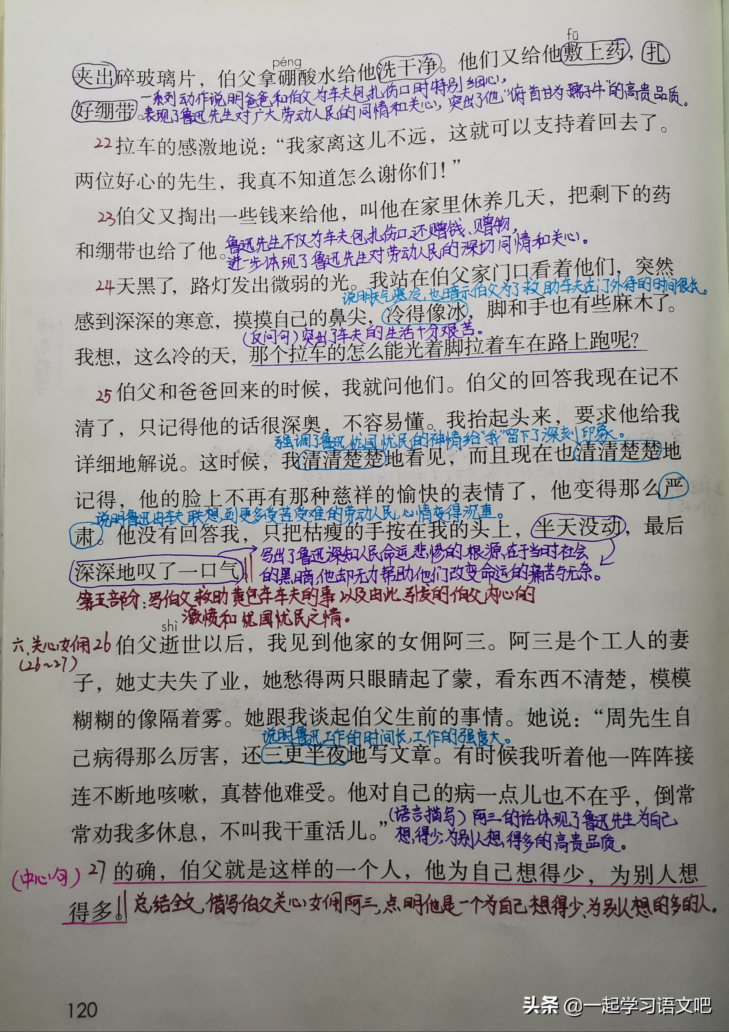 六年级我的伯父鲁迅先生预习笔记,语文六年级26课我的伯父鲁迅先生