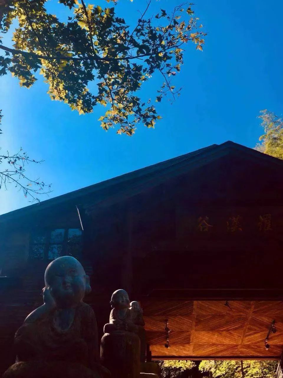 十大悬崖玻璃栈道景点,有瀑布有山还有玻璃栈道的景区