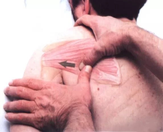 每日干货小分享,干货分享一周类的视频