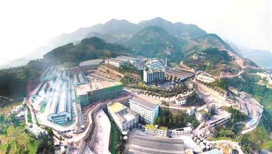 毛铺苦荞酒10年多少钱,毛铺苦荞酒500ml跟125ml有区别吗