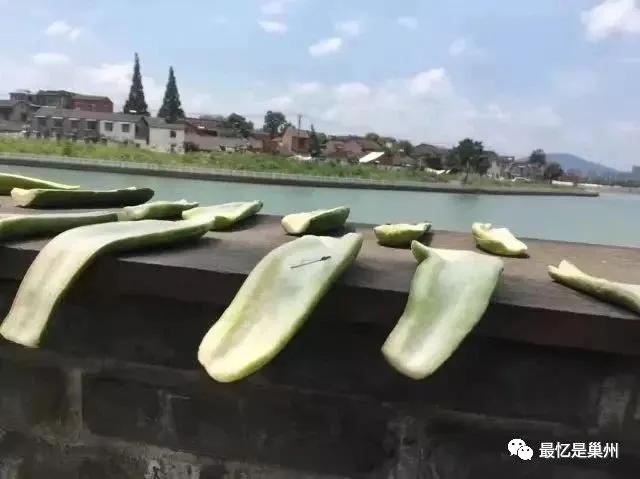 巢湖小菜瓜图片大全,巢湖拌菜瓜