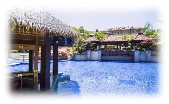 亚洲品牌大奖,广东优质温泉评选