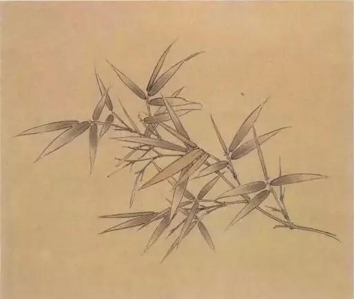 竹子的画法工笔画,竹子画法工笔画