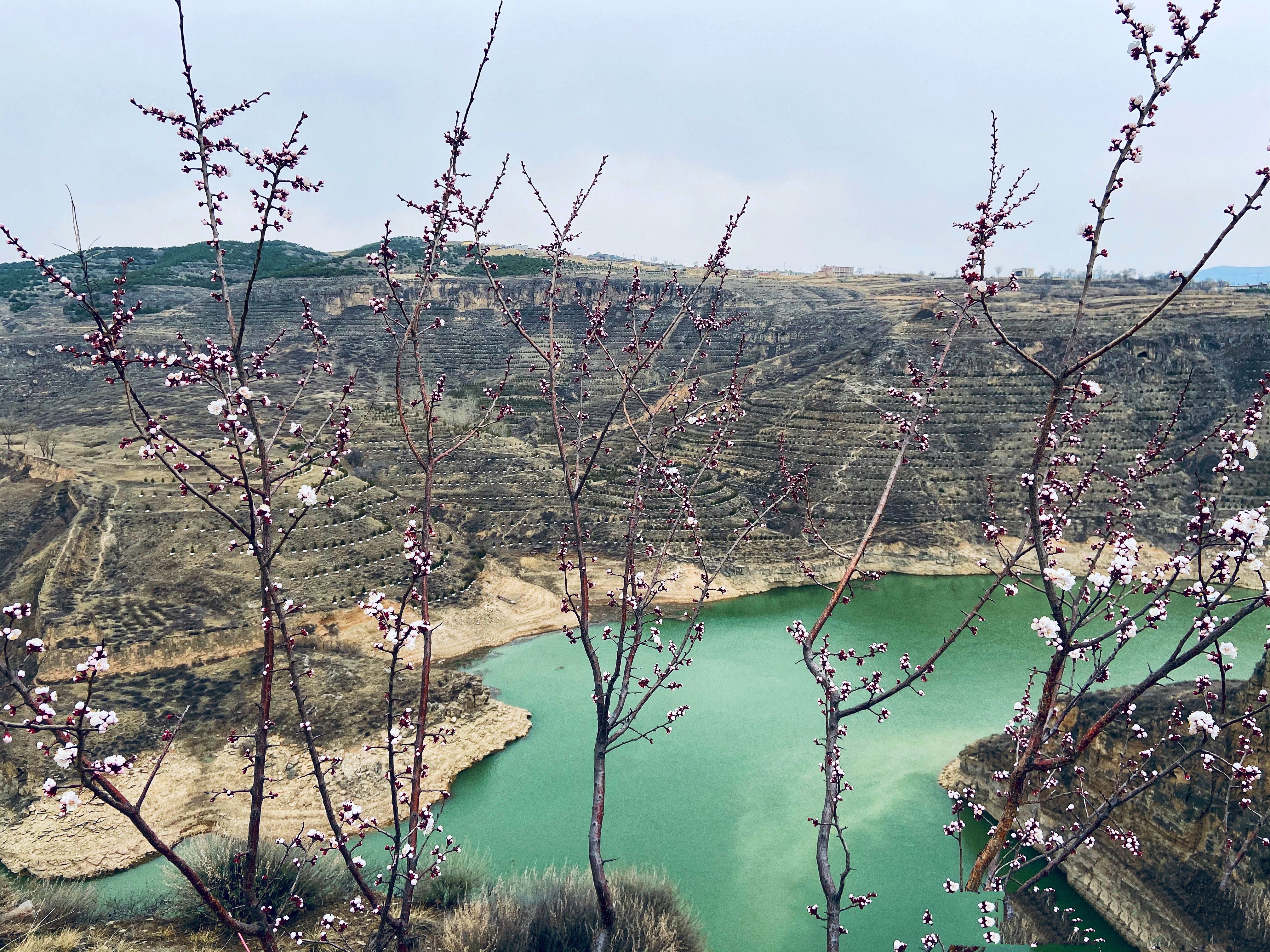 内蒙呼和浩特市内游,五一内蒙古呼和浩特及周边游