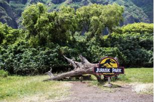 青春！需要一种最直接的方式，去亲近热情似火的HAWAII！