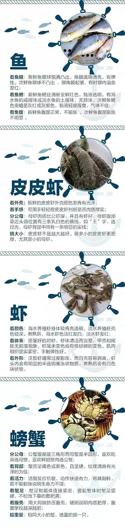 有一种炫富叫青岛开海,有一种炫富叫青岛开海了