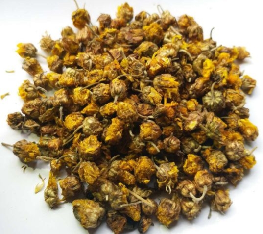 中药野菊花功用,每日中药