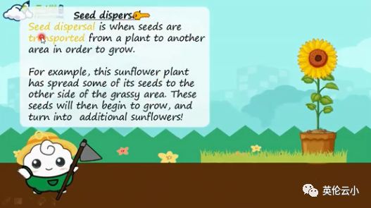 植物是怎么传播种子的二年级上册,植物传播种子方法有哪些举例说明