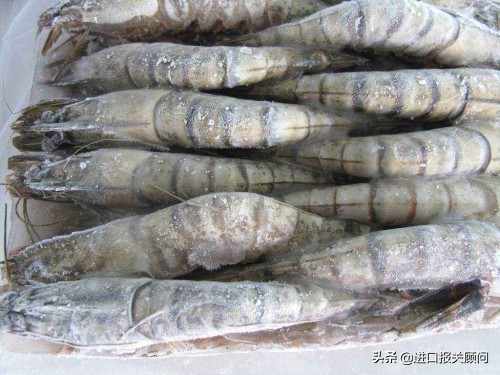 青岛进口海鲜报关,代理海鲜进口报关哪家好