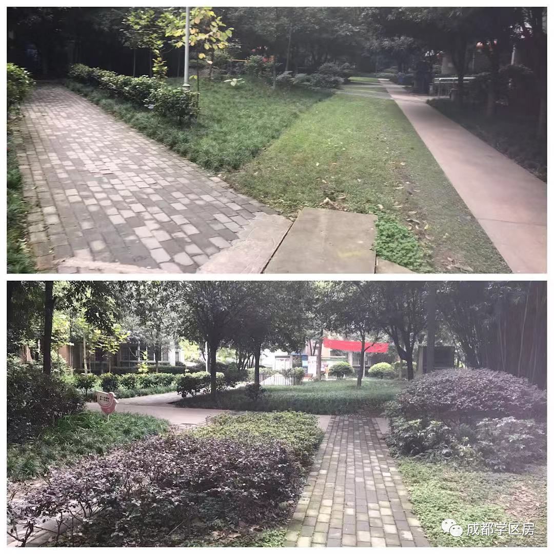 和泡小非常像的一个分校之最全盘点！​