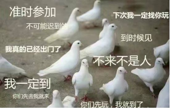 重生萝莉岛还是冲绳奴隶岛？让你看看二次元里让人误解的名字！