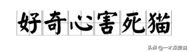 杀猪盘案例及解析,杀猪盘感情案例