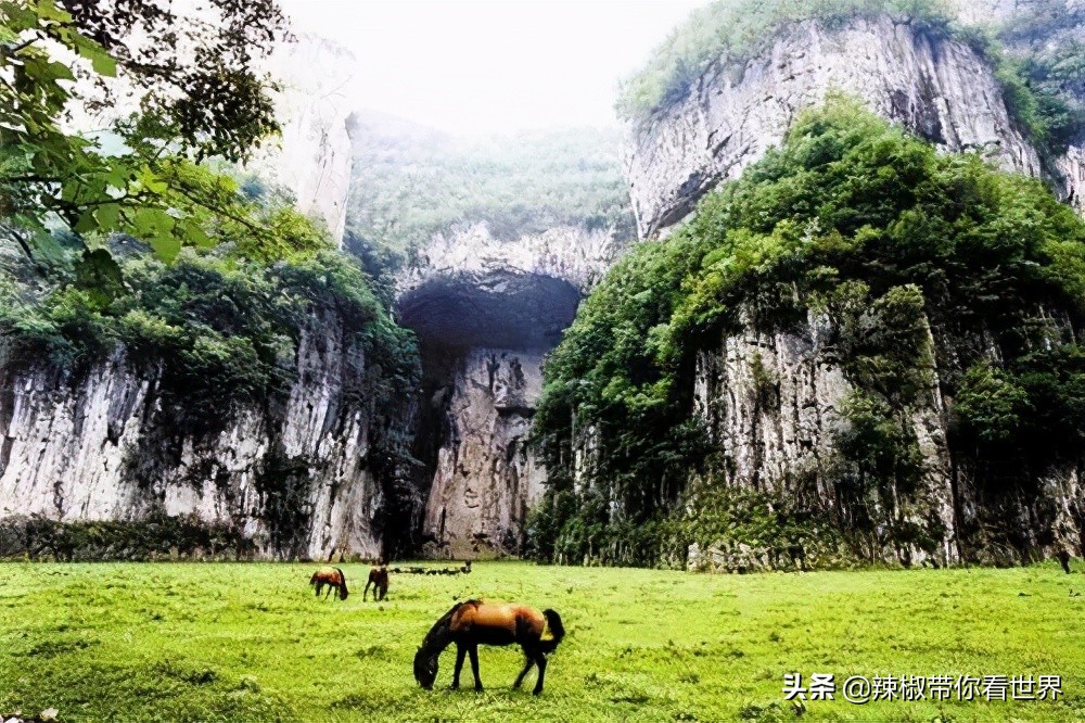 从西到东：贵州——沿河流“黔”行在这里一万种辣椒吃法向你奔来