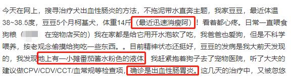 小狗肠胃炎大便果冻状带点血,小狗肠胃炎拉血了怎么回事