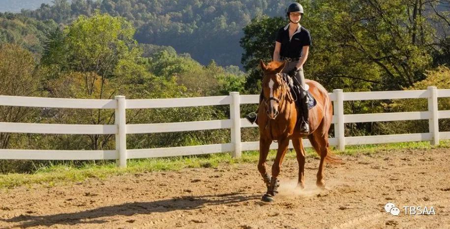 美国宾州格瑞尔女子私立高中学费,美国格瑞尔女校费用