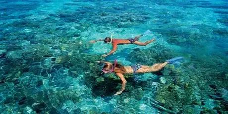 全球惊艳的10个海底世界，看到第一个就想出发！