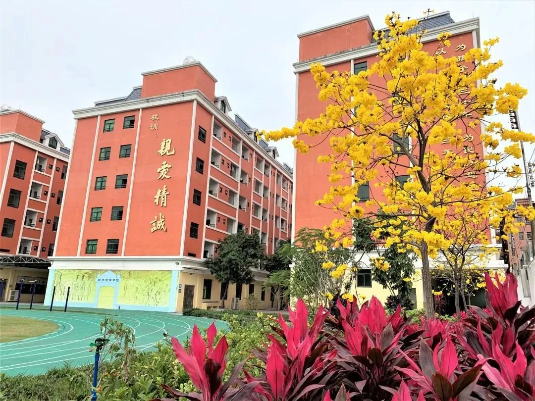 广州白云六中珠江学校,广州白云珠江实验学校怎么样