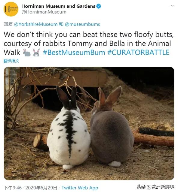 最佳博物馆屁屁花落谁家？花样翘臀看不够！网友：卡戴珊自愧不如