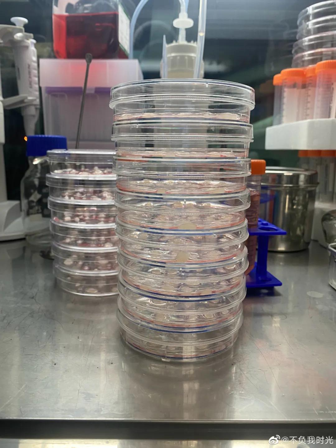 父亲自制药救儿子,为救儿子自制药的爸爸