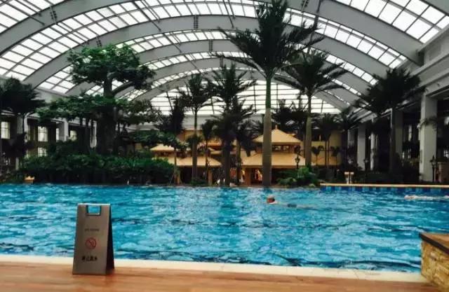 过年放下手机陪家人打牌,过年回家和朋友一起打麻将