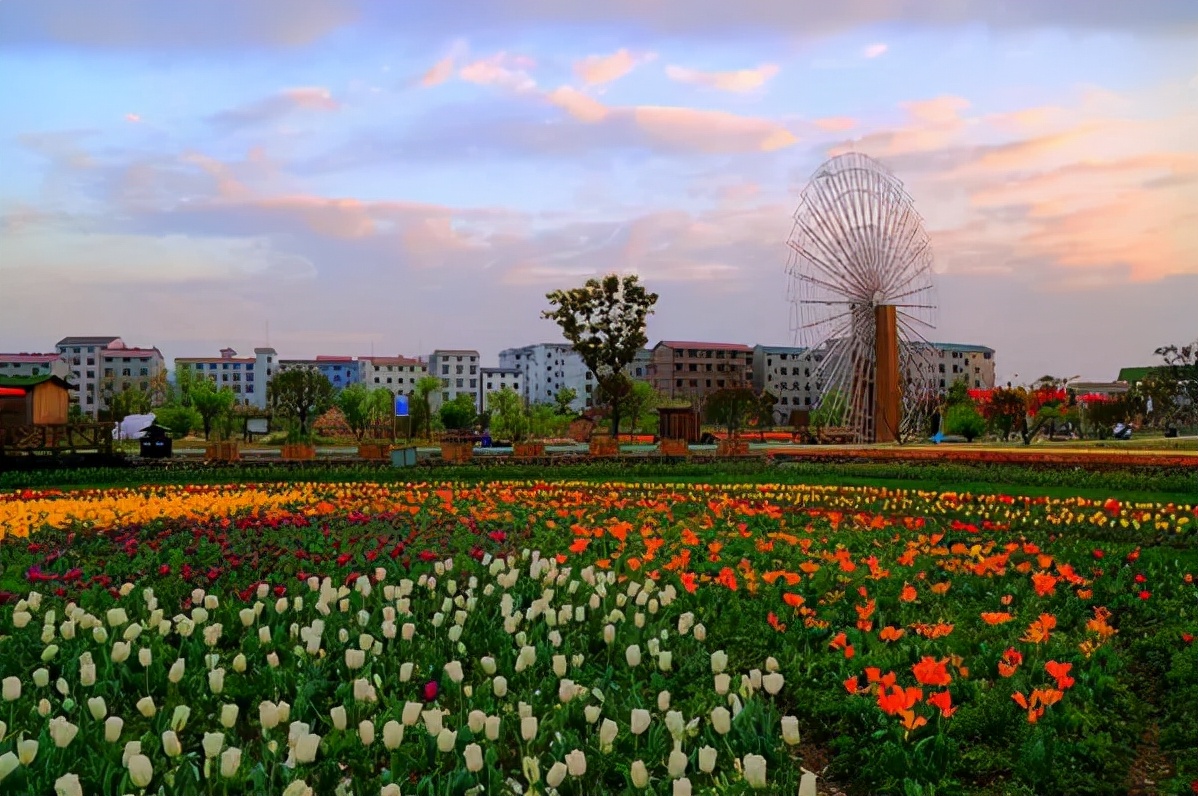 金华五一打卡景点推荐,金华最美村落在哪里