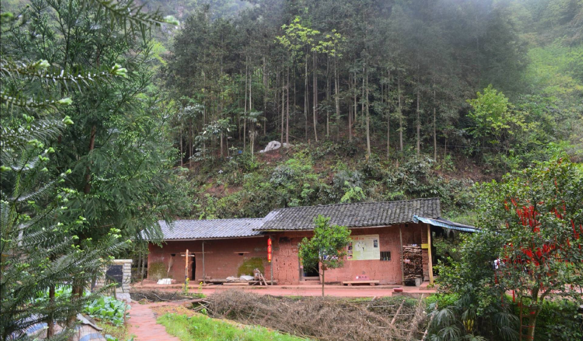 重庆小伙带29岁寡妇隐居深山50年,29岁寡妇跟19岁小伙私奔隐居深山