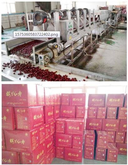 楼兰果业董事长张新政,新疆楼兰果业股份有限公司张新政