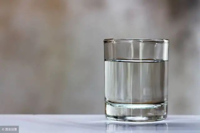 猫鼻支是怎么诊断的，又该怎么办呢？|猫鼻支治疗方法一览