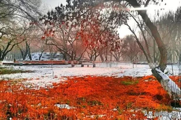 老城回忆乌鲁木齐,乌鲁木齐值得回忆的地方