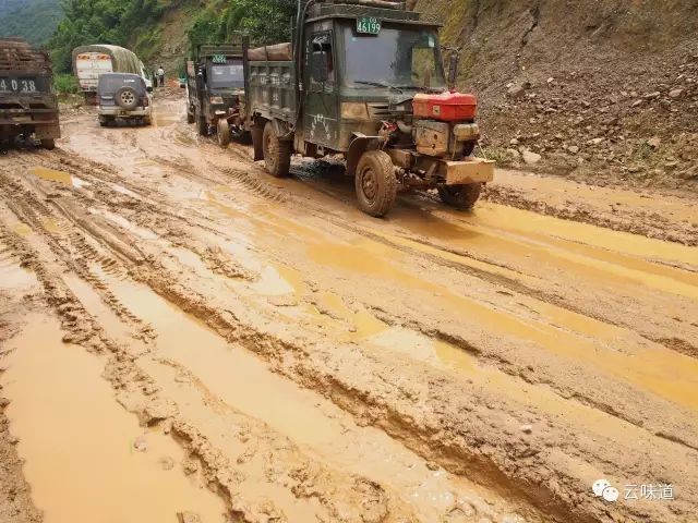18万冰岛普洱茶,冰岛18年茶价格