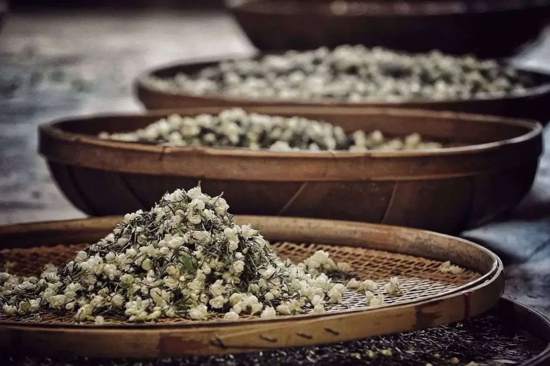 茉莉花茶碧潭飘雪属于什么茶,茉莉花茶碧潭飘雪