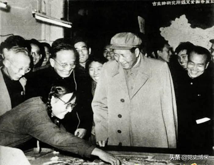 *乔木胡**：子女眼中的“*党**内一支笔”