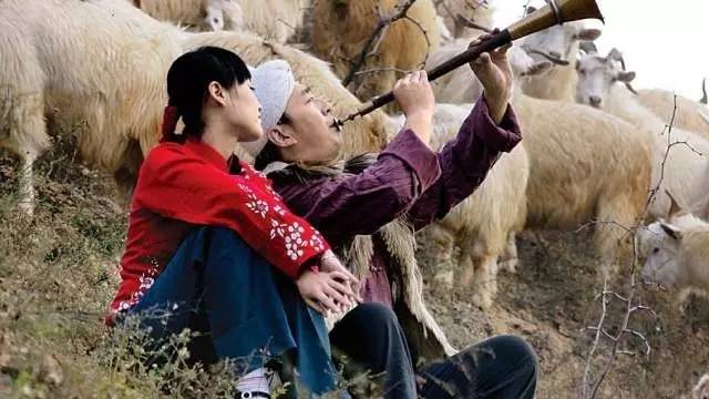 陕西八大怪是哪八大怪呢,东北八大怪与陕西八大怪