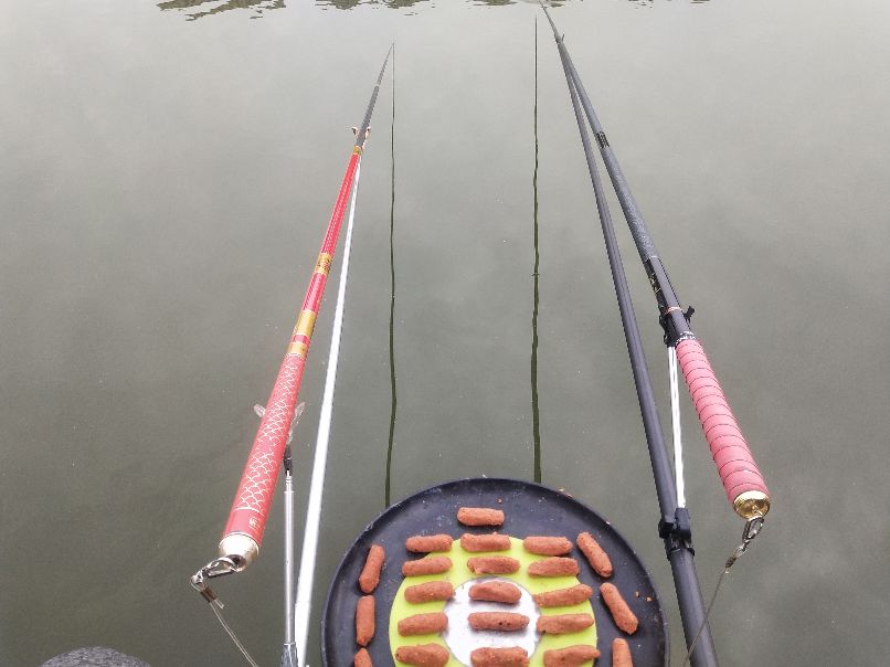 为什么新手钓得到大鱼,新手钓大鱼易跑鱼原因