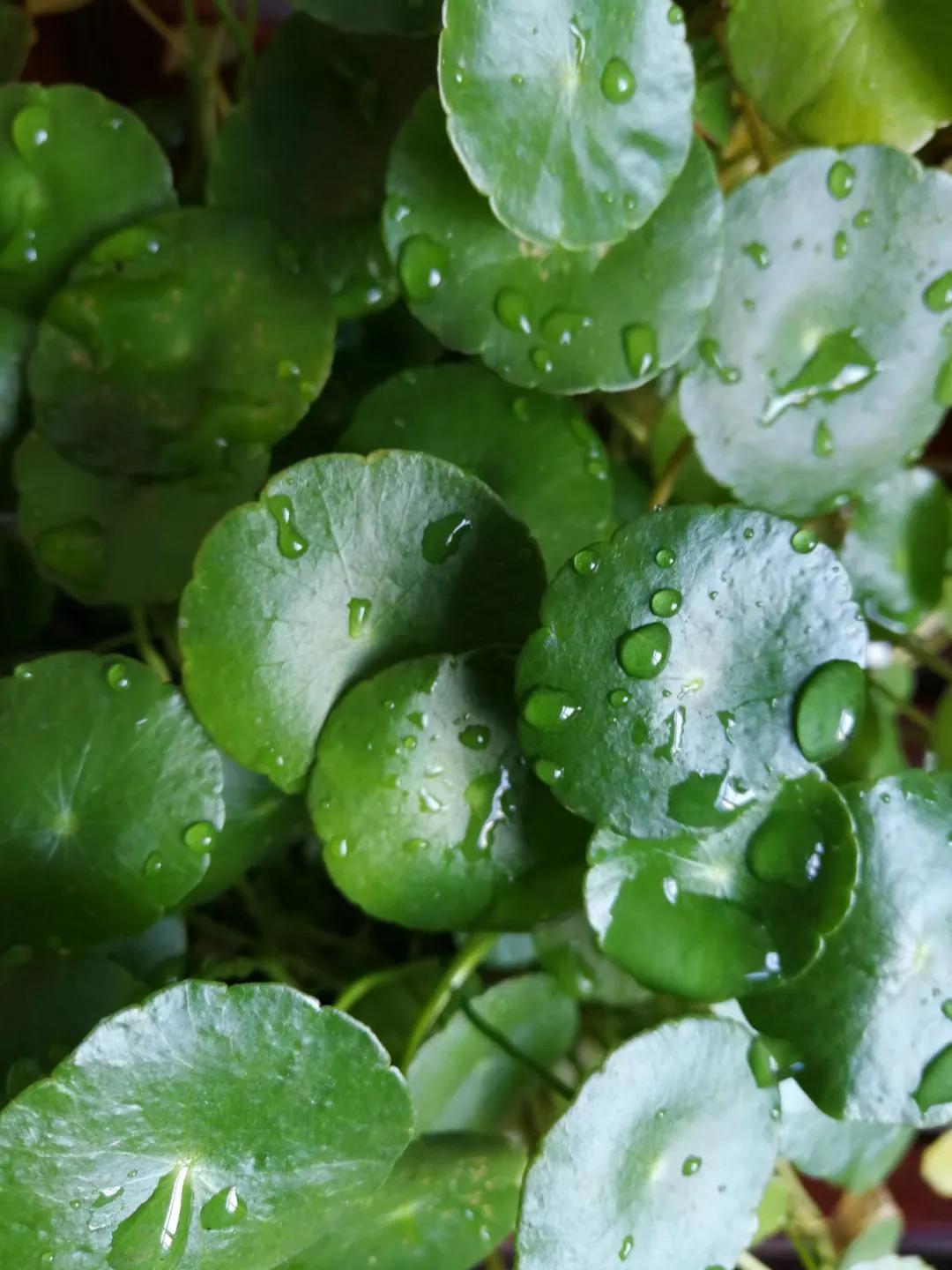 高考语文衔接题型解决方法,高二语文补救最佳方法