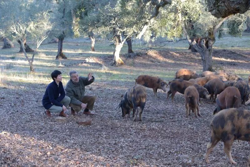 这次AsianFoodFestival汇聚亚洲食力，不止梁静茹给了杭州勇气