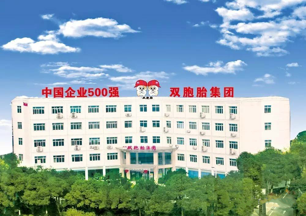 500强中国企业双胞胎集团,双胞胎企业500强