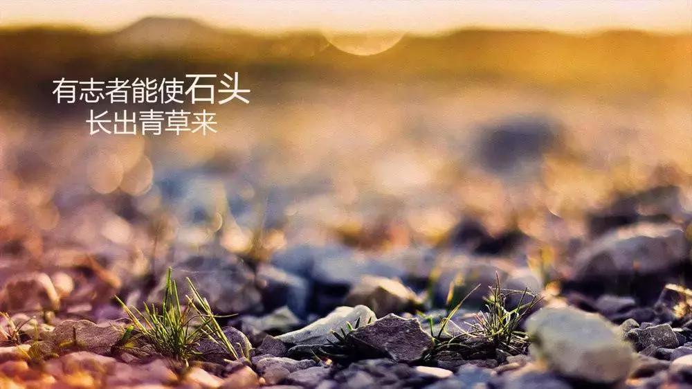 最靠谱的10种赚钱方法,了解一下最新的赚钱模式