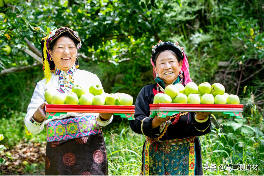 当你吃过黄香蕉苹果黄元帅就懂了现在藏区的小金冠苹果为何受欢迎