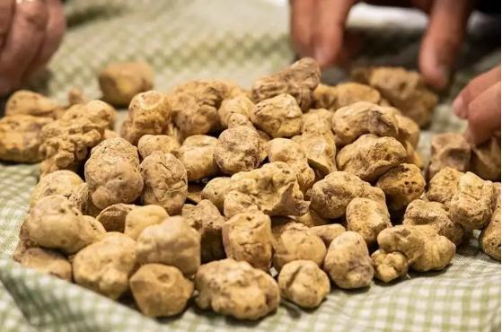 世界上最昂贵的十种食物,世界上最昂贵的食物解说