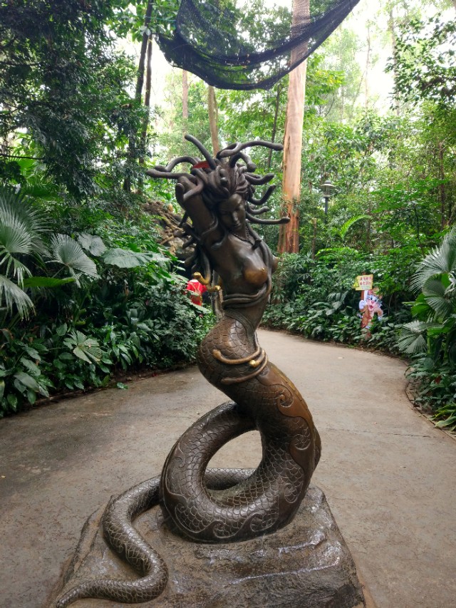 广州长隆野生动物世界二日游,广州长隆野生动物世界步行游览区