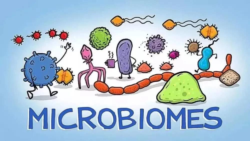 肠道菌群失调会造成里急后重吗,肠道菌群失调是不是容易有皮肤病
