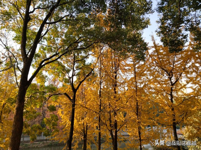 十年后电梯房和楼梯房哪个更值钱,买电梯房好还是多层好