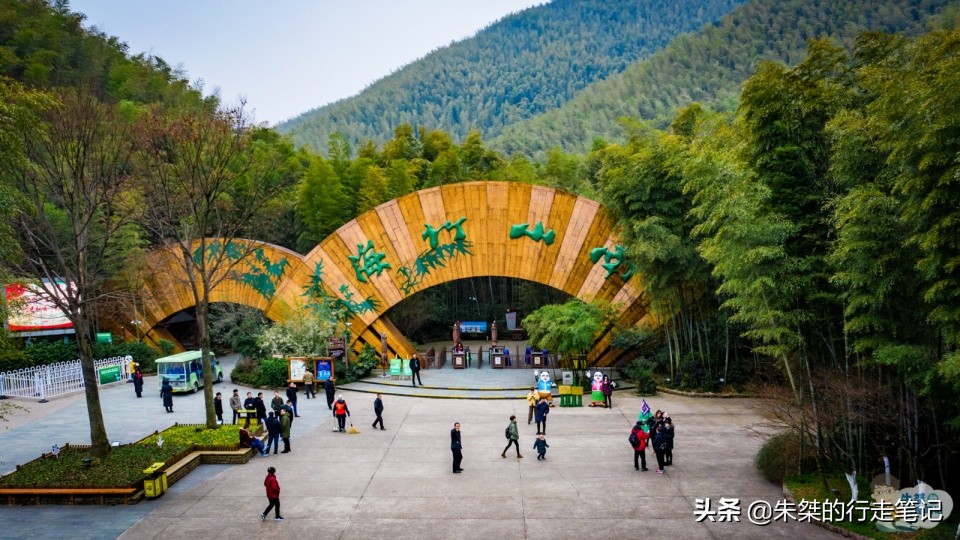 全国最大的竹海,中国竹都最美竹海