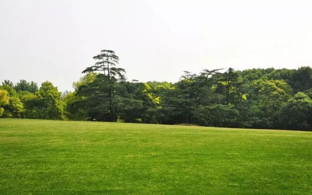 流转商业用地到期怎么办,农村土地流转证有效期多久