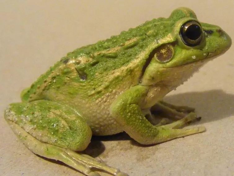 采访18岁的人,8090后的真实童年