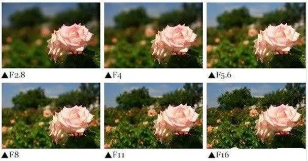 尼康入门单反,单反快速入门攻略